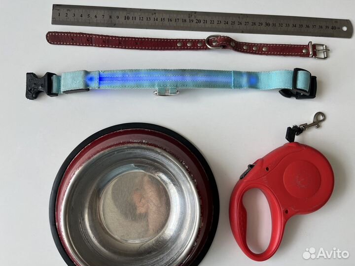 Ошейник и поводок для маленьких собак