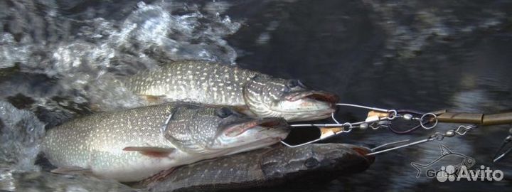 Кукан с поплавком