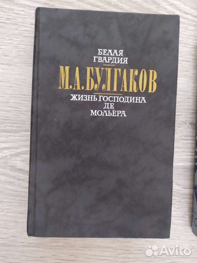 Книга Булгаков, Жизнь господина