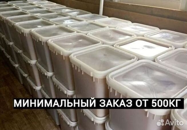 Мед оптом с Алтая от 0.5 Тонн