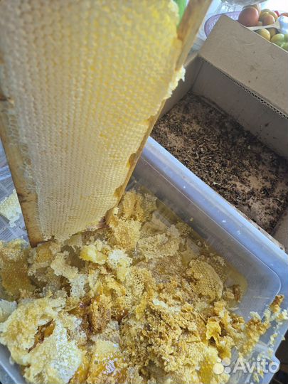 Забрус пчелиный 1кг