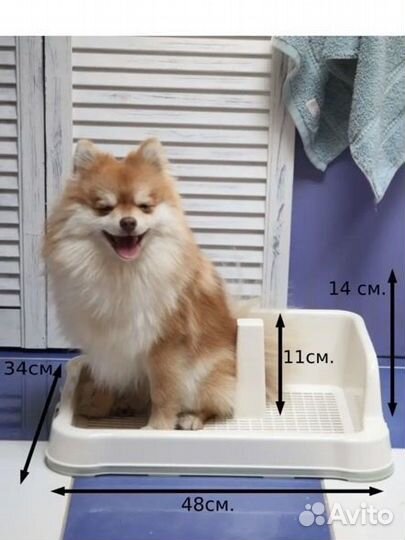 Лоток для собак мелких пород