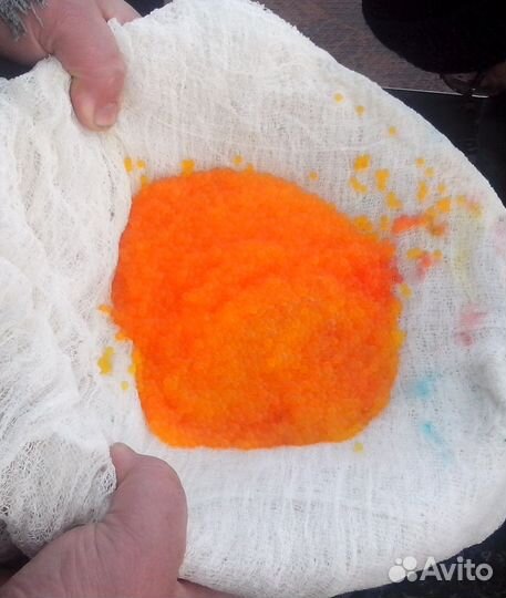 Ищу инвестора (партнера) в рыбхоз (рыба, икра)