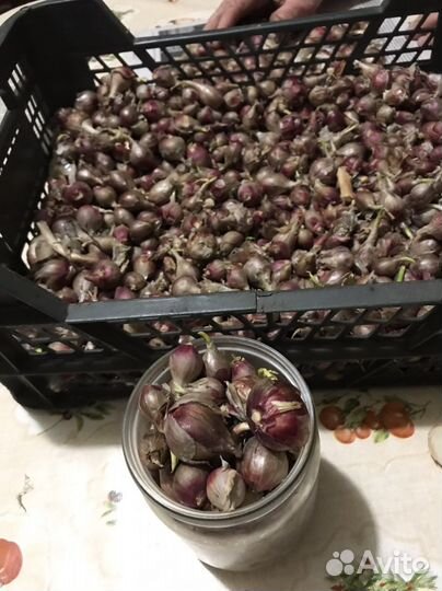 Многоярусный лук