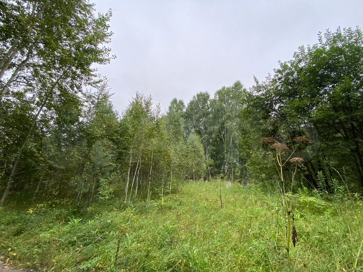 Участок 7,5 сот. (СНТ, ДНП)