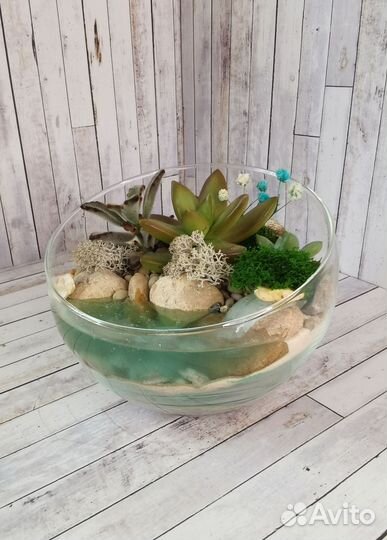 Флорариум полусфера