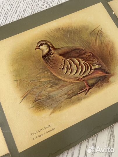 Подставки доя горячего