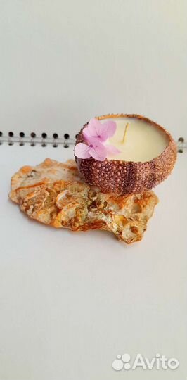 Свечи соевые аромасвечи морской еж