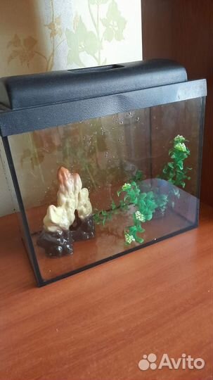 Аквариум