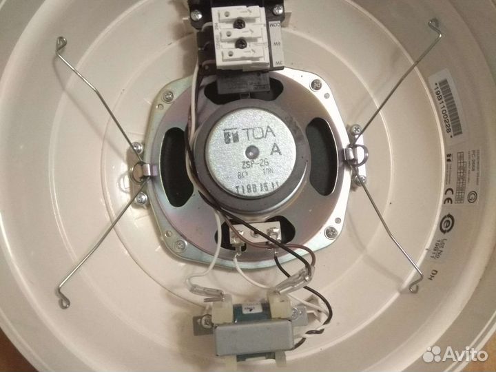 Динамик 100В