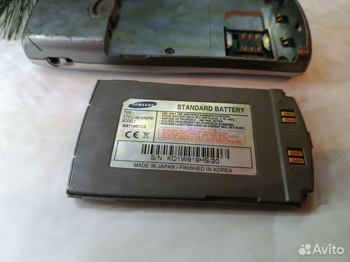 Samsung SGH-C100