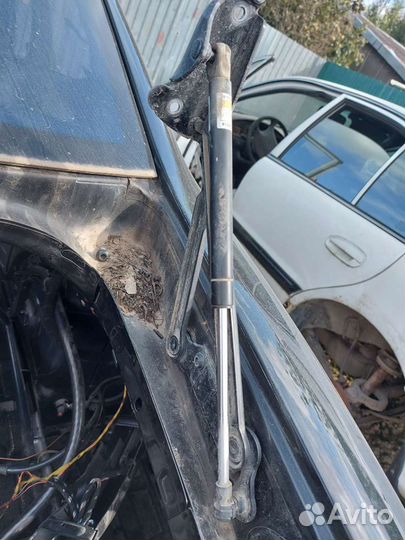 Петля крышки багажника на Volkswagen Phaeton