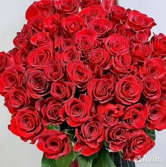 Высокие Розы с Доставкой