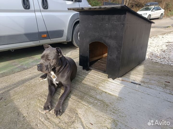 Будка для собаки