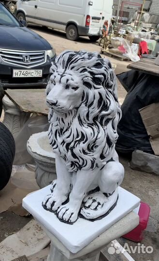 Лев средний