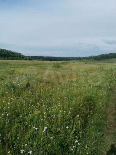 Участок 9 га (СНТ, ДНП)