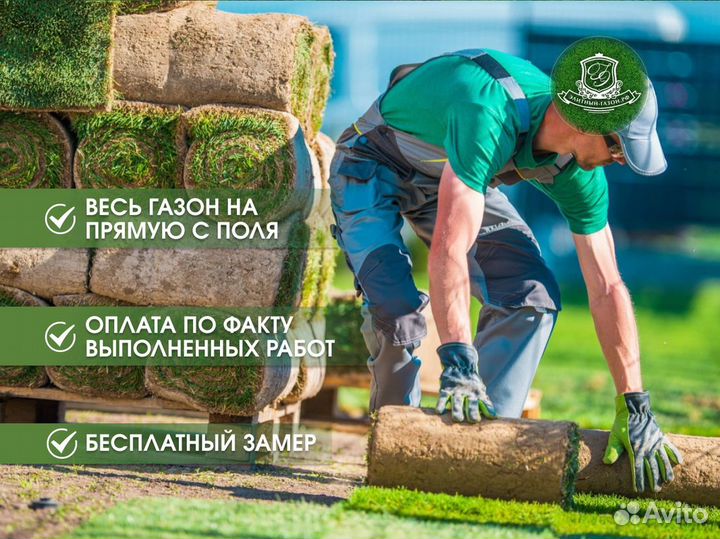 Рулонный газон с укладкой и гарантией