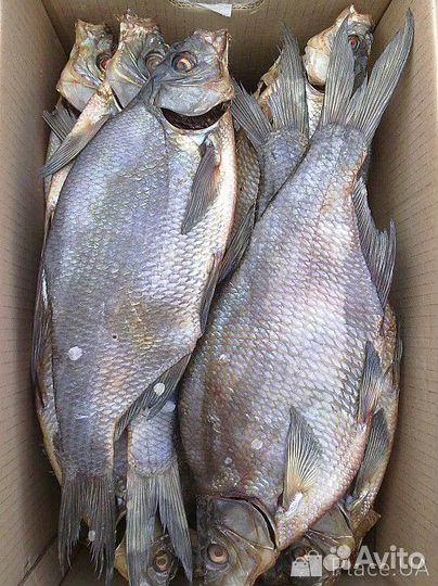 Рыба вяленая