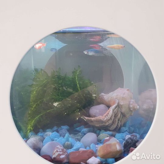 Аквариум