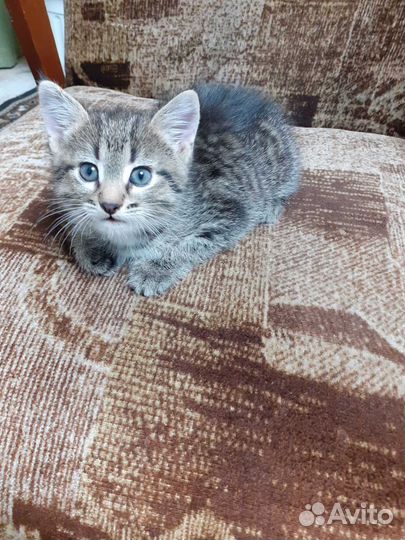 Мальчик-красавчик