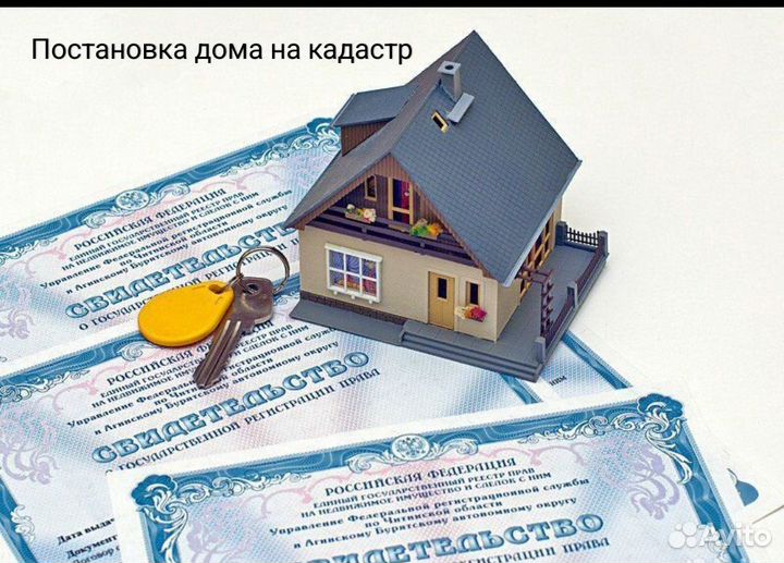 Вынос границ земельного участка. Геодезист