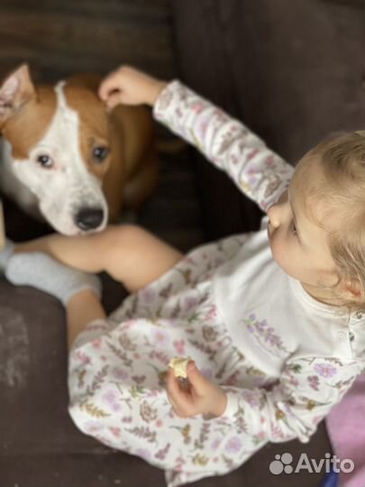 Вещи пакетом на девочку 98-104