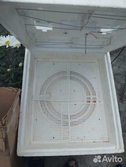 Инкубатор для яиц