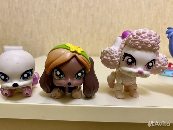 Собачки mix pups