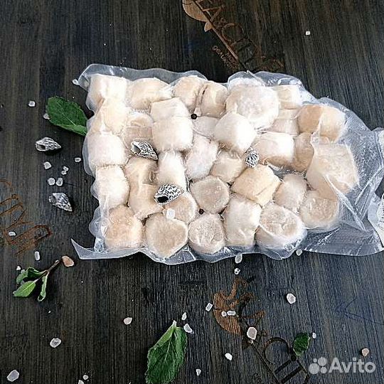 Курильской гребешок