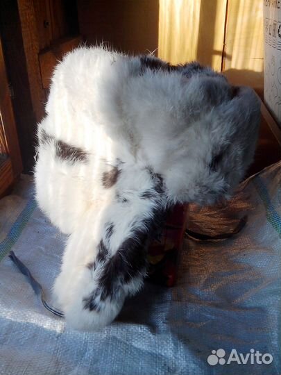 Шапки-ушанки,р-58