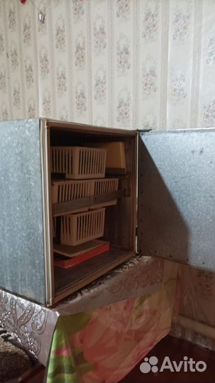 Инкубатор для яиц