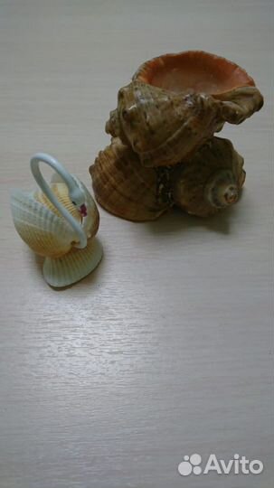 Морские ракушки интерьерные