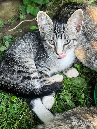 Малыши погибнут зимой