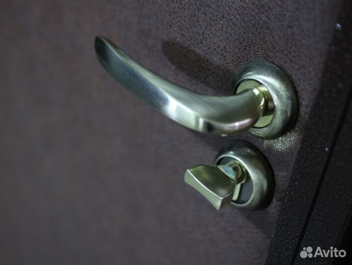 Входная дверь металлическая