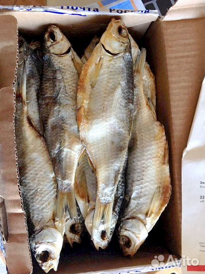 Астраханская вобла вяленая