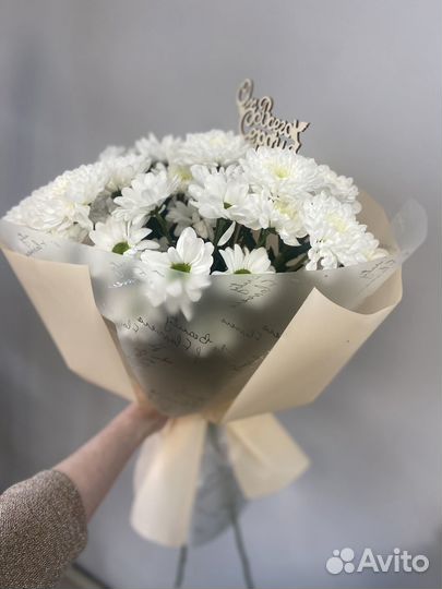 Букет ромашек/ромашковые хризантемы