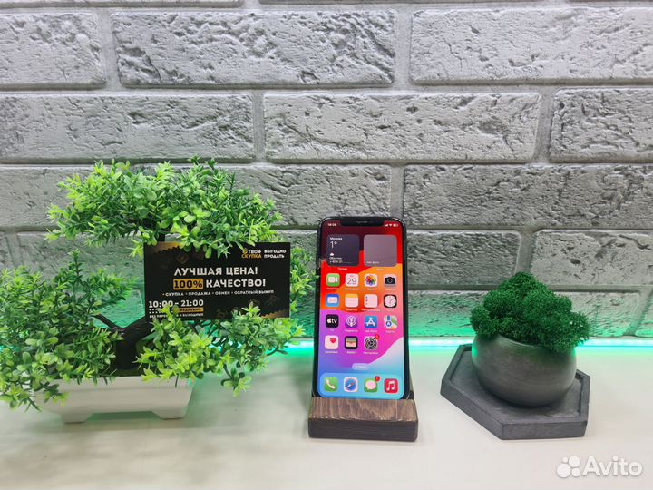 iPhone Xs, 256 ГБ