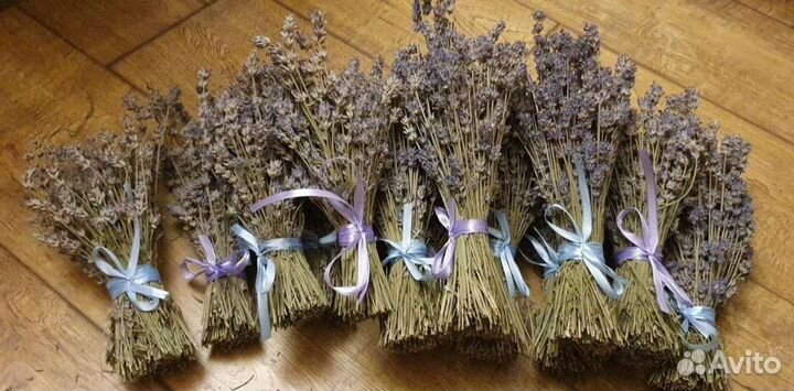 Лаванда в пучках