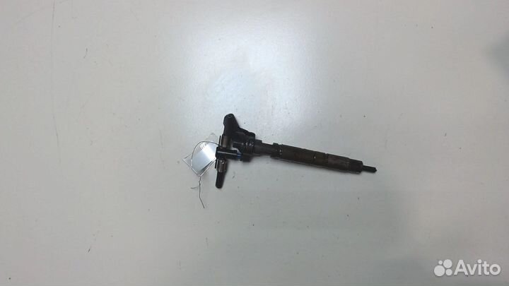 Форсунка топливная Hyundai Santa Fe, 2010