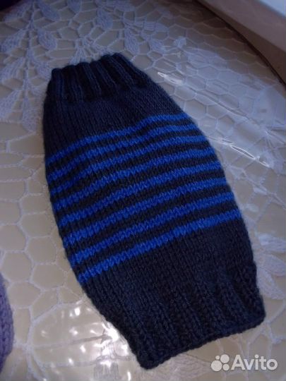 Одежда для животных