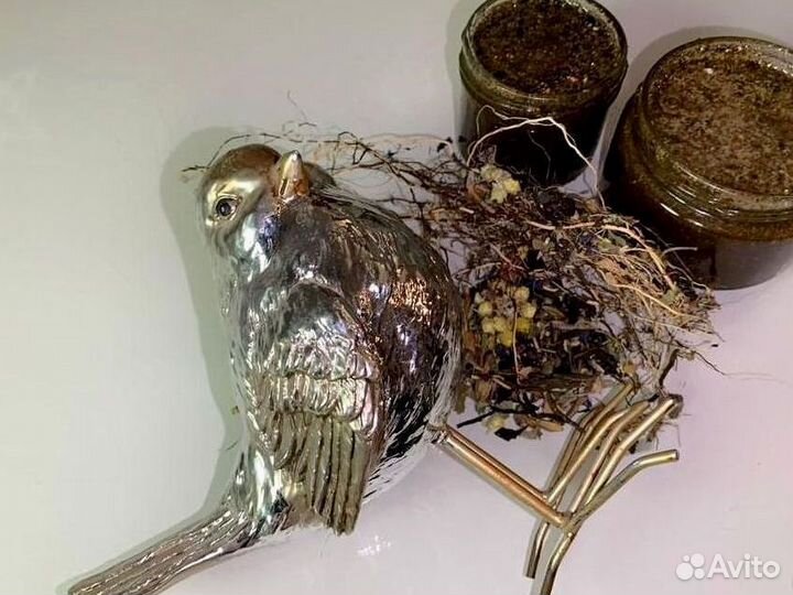 Натуральный стимулятор потенции