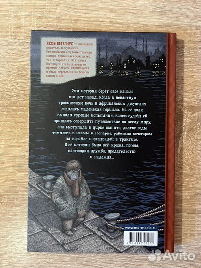 Легенда о Салли Джонс - Якоб Вегелиус