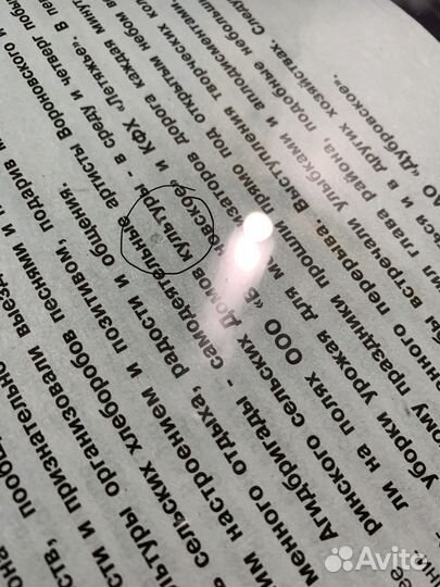 Ремонт лобовых Автостекол