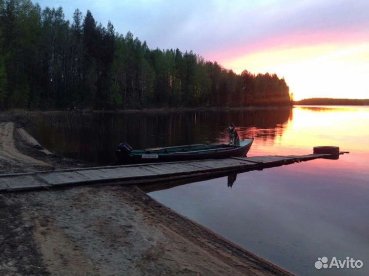 Охота и рыбалка