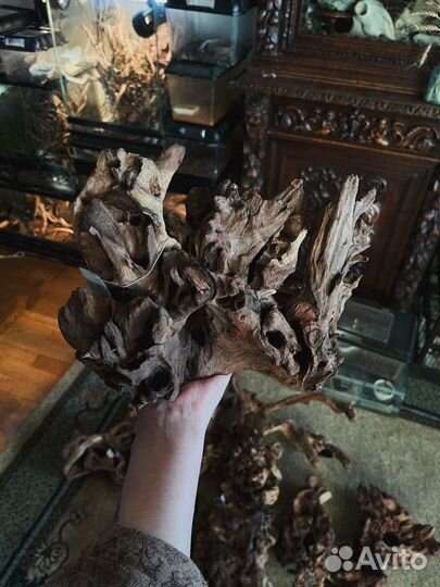 Коряги для аквариума/террариума