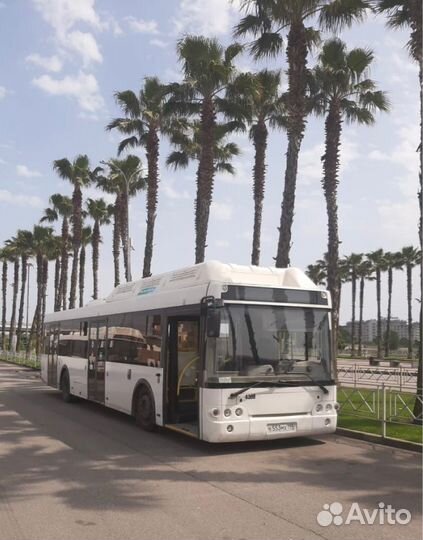 Водитель автобуса (г. Сочи)