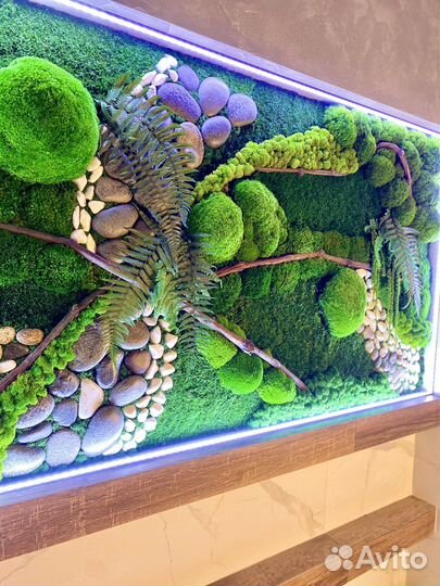 Вертикальное озеленение. Мох.Фитостена.Декор