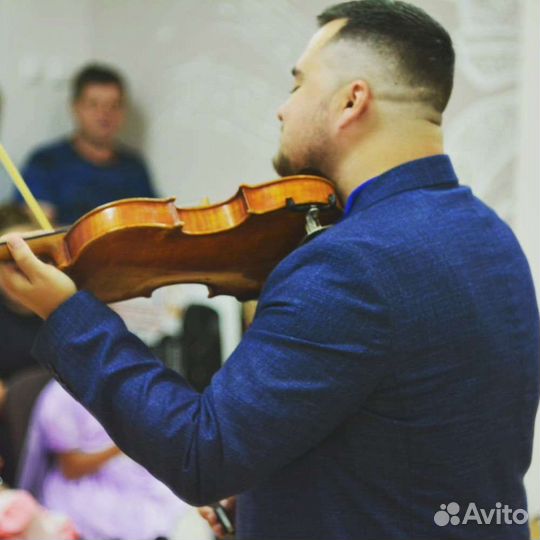 Ведущий, певец, скрипач, диджей