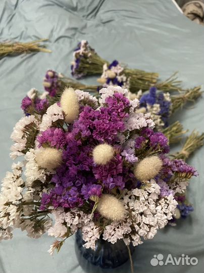 Цветы статица