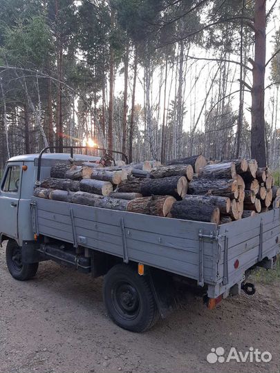 Продам дрова чурками сосна листвяк